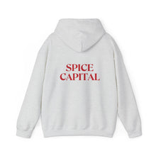 Load image into Gallery viewer, LOGO hoodie