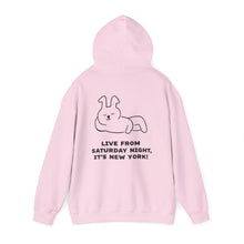 Load image into Gallery viewer, Live From Saturday Night, It's New York! Heavy Blend™ Hooded Sweatshirt
